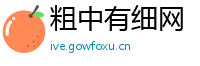 粗中有细网
